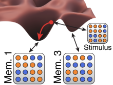 Lev Lab Associative Memory 2025