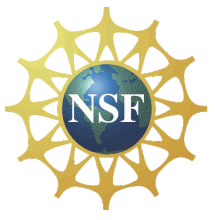 Lev wins NSF CAREER award