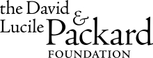 Lev wins Packard Fellowship