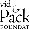 Lev wins Packard Fellowship